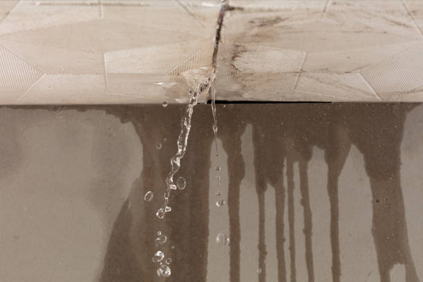 Professional Sewage Cleanup technician working in Highlands, TX
